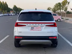2021 Hyundai Custo 380TGDi Flagship TOP Premium, белый — фото 14