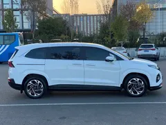 2021 Hyundai Custo 380TGDi Flagship TOP Premium, белый — фото 16