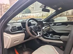2024 BYD Qin PLUS Honor Edition DM-i 120KM Leading — фото 11