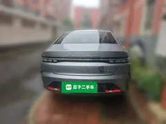 2024 BYD Destroyer 05 DM-i PHEV 55km Luxury — фото 5