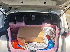 2025 BYD Seagull EV 305km, белый — фото 21
