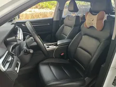 2022 Geely Emgrand 4th Gen 1.5L CVT Premium, белый — фото 11
