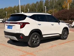 2023 Kia Seltos 1.5L CVT Luxury, белый — фото 6
