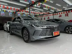 2024 BYD Destroyer 05 DM-i PHEV 55km Luxury — фото 2