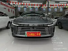 2024 BYD Destroyer 05 DM-i PHEV 55km Luxury — фото 3