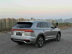2024 Geely Monjaro 2.0TD DCT EVO 2WD Premium — фото 4