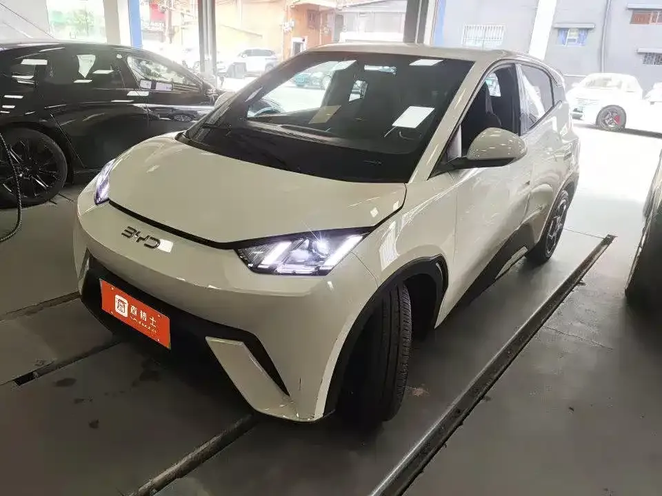 2024 BYD Seagull EV Glory 405km Flying