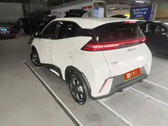 2024 BYD Seagull EV Glory 405km Flying, белый — фото 4