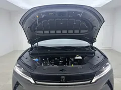 2025 BYD Yuan UP Smart Driving 401km Vitality — фото 16