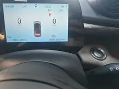 2025 BYD Dolphin 420km Freedom — фото 8