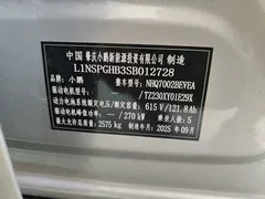 2025 Xpeng P7 702 Long Range Ultra — фото 23