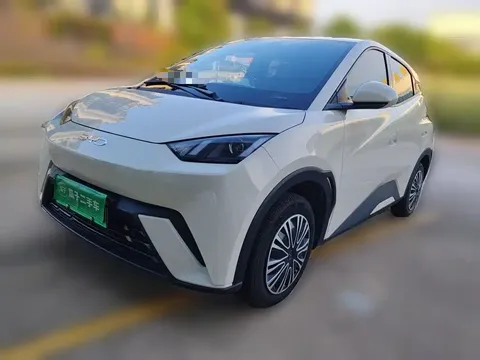 2024 BYD Seagull Honor 305km Vitality