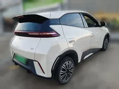 2024 BYD Seagull Honor 305km Vitality, белый — фото 6