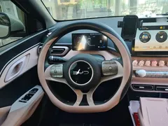 2024 BYD Seagull Honor 305km Vitality, белый — фото 11