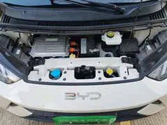 2024 BYD Seagull Honor 305km Vitality, белый — фото 21