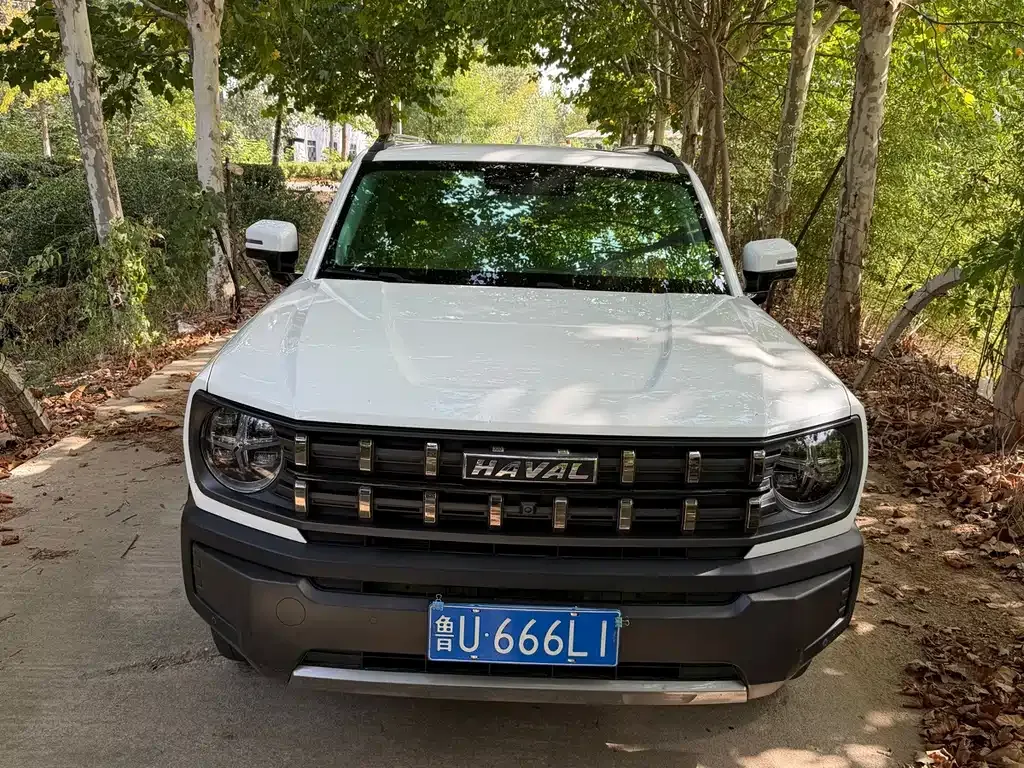 2022 Haval Cool Dog 1.5T DCT 4WD