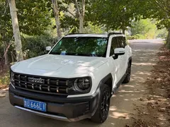 2022 Haval Cool Dog 1.5T DCT 4WD, белый — фото 2