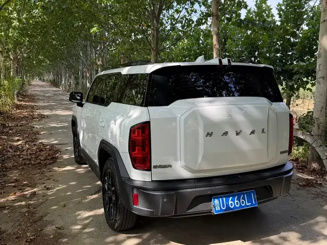 2022 Haval Cool Dog 1.5T DCT 4WD