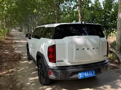 2022 Haval Cool Dog 1.5T DCT 4WD, белый — фото 4