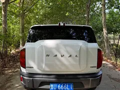 2022 Haval Cool Dog 1.5T DCT 4WD, белый — фото 5
