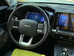 2022 Haval Cool Dog 1.5T DCT 4WD, белый — фото 15