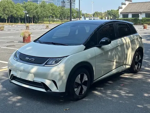 2023 BYD Dolphin 420km Fashion