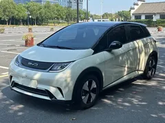 2023 BYD Dolphin 420km Fashion, белый — фото 1