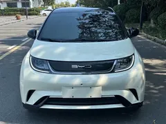 2023 BYD Dolphin 420km Fashion, белый — фото 2