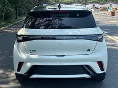 2023 BYD Dolphin 420km Fashion, белый — фото 8