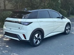 2023 BYD Dolphin 420km Fashion, белый — фото 9