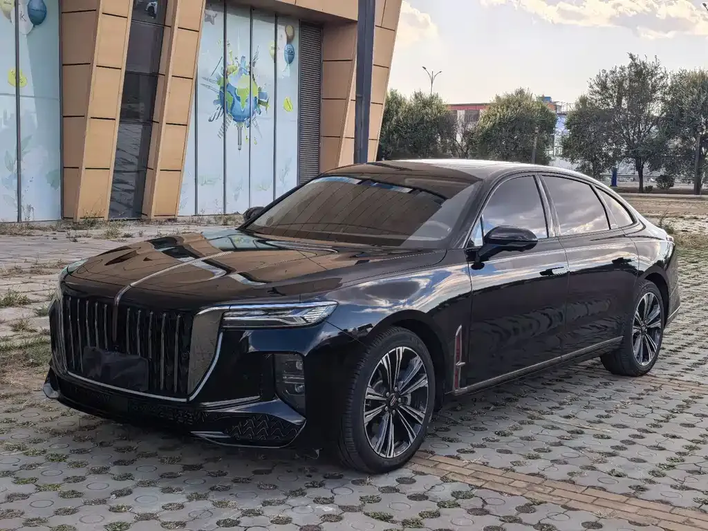 2024 Hongqi H9 2.0T Qixiang Fashion