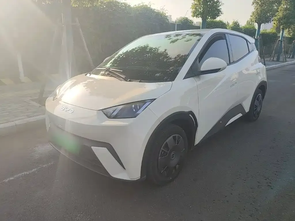 2024 BYD Seagull Honor 305km Vitality
