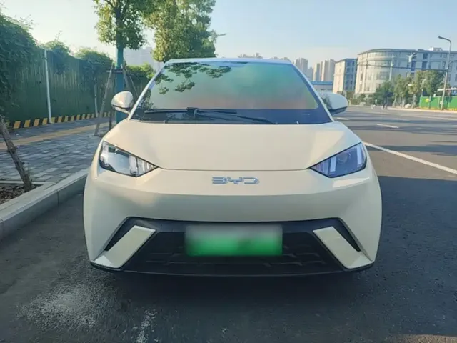 2024 BYD Seagull Honor 305km Vitality
