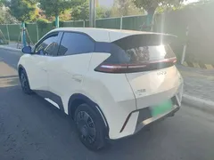 2024 BYD Seagull Honor 305km Vitality, белый — фото 5