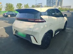 2024 BYD Seagull Honor 305km Vitality, белый — фото 7