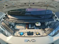 2024 BYD Seagull Honor 305km Vitality, белый — фото 20