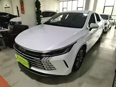 2024 BYD Destroyer 05 DM-i PHEV 55km Luxury, белый — фото 1