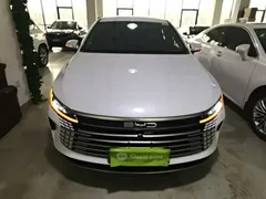 2024 BYD Destroyer 05 DM-i PHEV 55km Luxury, белый — фото 3