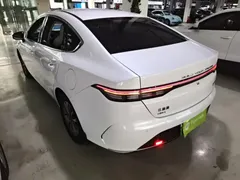 2024 BYD Destroyer 05 DM-i PHEV 55km Luxury, белый — фото 5