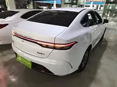 2024 BYD Destroyer 05 DM-i PHEV 55km Luxury, белый — фото 7