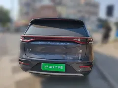 2021 BYD Tang DM-i PHEV 112km Premium, чёрный — фото 5