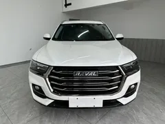 2021 Haval H6 1.5T AT Guochao Urban, белый — фото 2