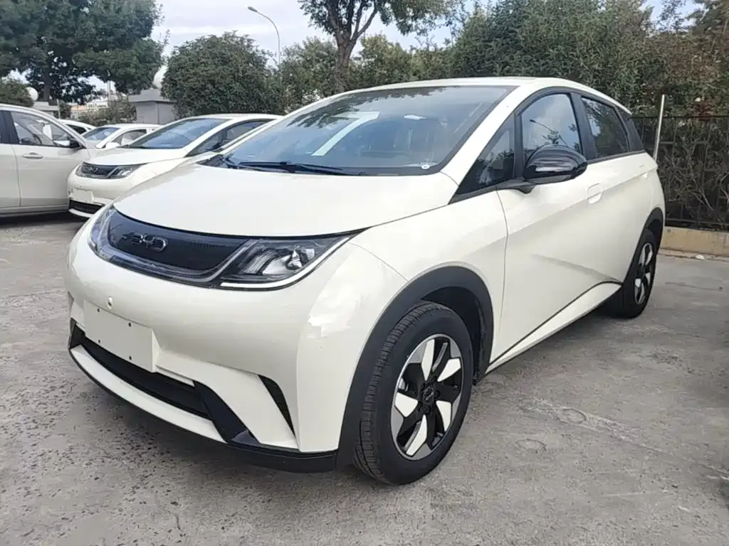 2025 BYD Dolphin 420km Freedom