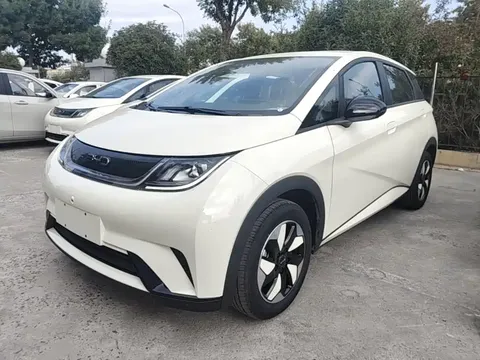 2025 BYD Dolphin 420km Freedom