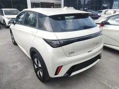 2025 BYD Dolphin 420km Freedom, белый — фото 5