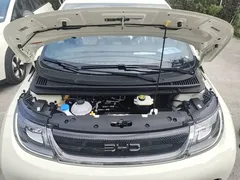 2025 BYD Dolphin 420km Freedom, белый — фото 20
