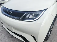 2025 BYD Dolphin 420km Freedom, белый — фото 24
