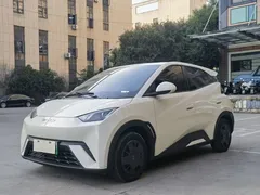 2023 BYD Seagull Vitality, белый — фото 1