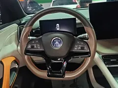 2022 BYD Song Pro DM-i PHEV 110km Flagship Pro — фото 15