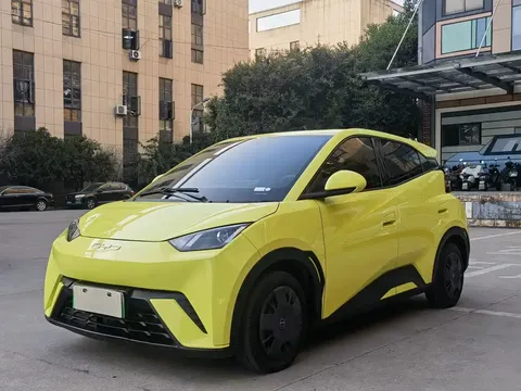 2023 BYD Seagull Vitality